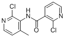 2-氯-N-(2-氯-4-甲基吡啶-3-基)烟酰胺