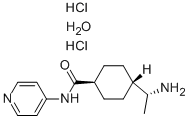 反-4-[(1R)-1-氨基乙基]-N-4-吡啶-环己甲酰胺盐酸盐