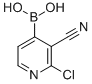 2-氯-3-氰基吡啶-4-硼酸,95%