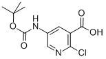 5-叔丁氧羰基氨基-2-氯吡啶-3-羧酸