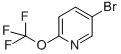 5-溴-2-三氟甲基吡啶
