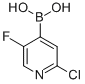 2-氯-5-氟吡啶-4-硼酸